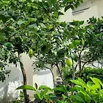 Appartamento Kela *