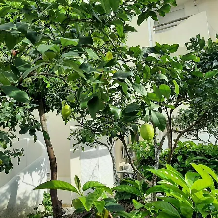 Lejlighed Kela *