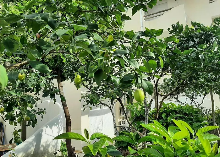 Apartment Kela *
