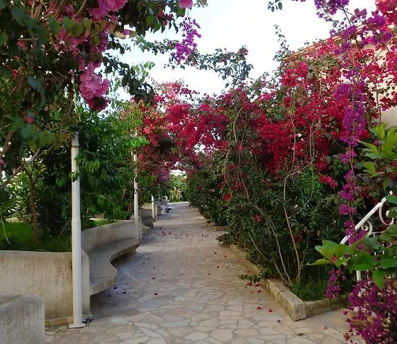 Kela * Sarande